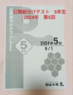 2025年最新】公開組み分けテストの人気アイテム - メルカリ