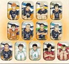 ハイキュー!! 及川徹 セブンネット 横断幕 スクエア缶バッジ 45点 ハイキュー!! 及川徹 セブンネット 横断幕 スクエア缶バッジ 45