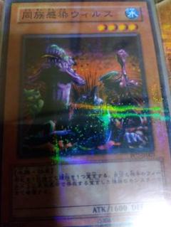 2025年最新】同族感染遊戯王の人気アイテム - メルカリ