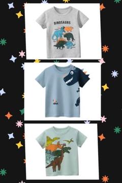綿100%恐竜Tシャツ3枚セット