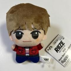 2025年最新】RIIZE ぬいぐるみ ウンソクの人気アイテム - メルカリ