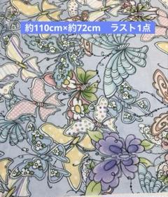 Swarm ロラライハリス　蝶々　バタフライ　ブルー