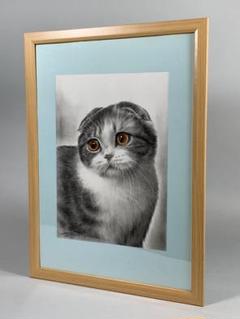 画家 白井真澄 木炭肉筆デッサン画  原画 真筆保証品！額入cat NO.28 画家 白井真澄 木炭肉筆デッサン画 原画 真筆保証品 額入horse