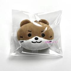 SEVENTEEN SVT セブチ ディノ miniteen ミニティーン アクリル