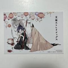 2025年最新】夜叉白雪の人気アイテム - メルカリ