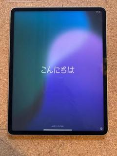 ジャンク品iPadPro12.9第五世代512gb ApplePencilのみ ジャンク品iPadPro12.9第五世代512gb ApplePencilのみ