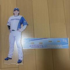 田宮裕涼 田中正義 アクリルスタンド 日ハム アクスタ 田宮裕涼 田中正義 アクリルスタンド 日ハム アクスタ - メルカリ