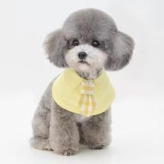 犬ネクタイの中古 未使用品 メルカリ