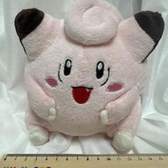 希少　TOMY ポケモン♡ピカチュウ　ヒトカゲ　ピッピぬいぐるみ合計6匹　レトロ 希少 TOMY ポケモン♡ピカチュウ ヒトカゲ ピッピぬいぐるみ合計