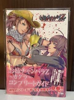 お姉チャンバラZ ―カグラ― コンプリートガイド