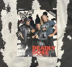 激レア！　WWF マガジン　nWo 2002 April