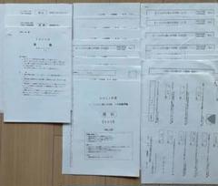 ノートルダム清心中学校入学試験問題集2023年春受験用(実物に近いリアルな紙面のプリント形式過去問) (広島県中学校過去入試問題集) ノートルダム清心中学校入学試験問題集2024年春受験用(実物に