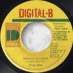 レゲエ THINGS A GWAN Ninjaman Digital B - メルカリ