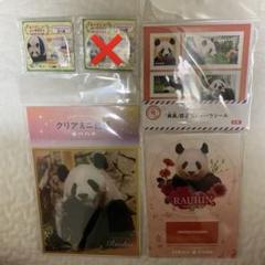 【推し活セット】アドベンチャーワールド　良浜セット