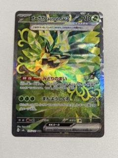 trade-lab-japan_pmsv6-125-sar