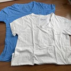ロンハーマン8loo VネックTシャツ 2枚セット 青 白