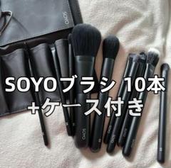 2025年最新】SOyo ブラシ ディスカバー フルセット 10本 ケース