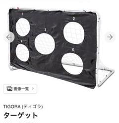 アルペン　ティゴラ　サッカー　キックターゲット