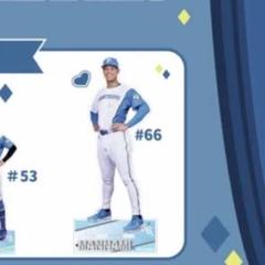 北海道日本ハムファイターズ ジャンボアクスタ #66 万波中正