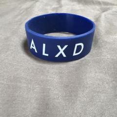 Alexandros】アレキサンドロス  アクセサリー　ネックレス　グッズ シルバーピックネックレス<br>＊当日限定販売<br>お一人様1個