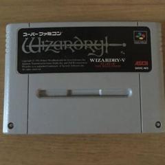 WIZARDRY V