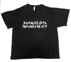 スイサイダルテンデンシーズ　Suicidal Tendencies バンT 両面