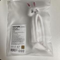 INI ペンライト