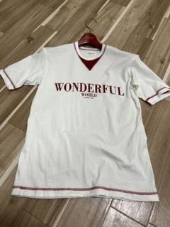 ワンダフルワールド　ロゴ　Tシャツ