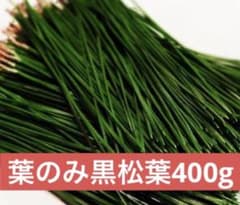 縁起風呂【天然松葉入浴剤＊松葉風呂＊乾燥松葉】増量10パック/季節の