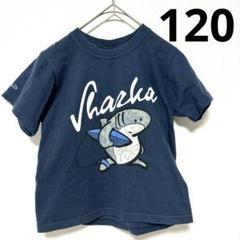 ● Crazy Shirts Sharka Tシャツ ワイドシルエット サメ ●