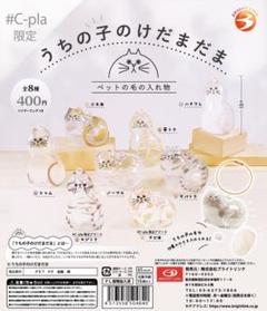 正規品　うちの子のけだまだま　ガチャ　c-pla限定版　全8種コンプリートセット
