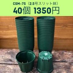 CSM-75 2.5号スリット鉢 40個★送料込