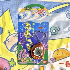 海で発見たまごっち - メルカリ