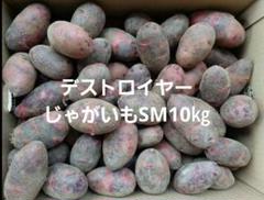 長崎県産デストロイヤーじゃがいもSM 10㎏ - メルカリ