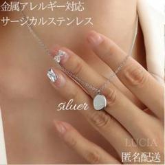 人気　ニュアンスプレートネックレス　シルバー　サージカルステンレス　レディース
