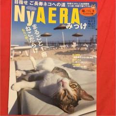 ニャエラみっけ NyAERA