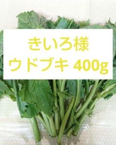 極上天然 ウドブキ ボンナ 信州北アルプス産 くわだい ボウナ 山菜 極上天然 ウドブキ ボンナ 信州北アルプス産 くわだい ボウナ