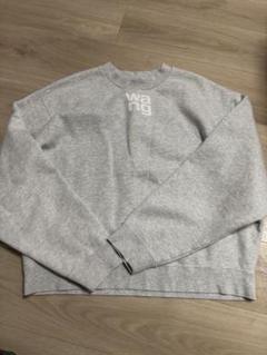 alexanderwangアイボリー系パステルイエロートレーナー【緊急
