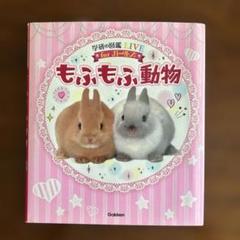 もふもふ動物