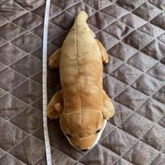 カワウソ　ぬいぐるみ