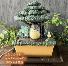 新品未使用 となりのトトロ ウォーターガーデン BONSAI 笠宿 盆栽 となりのトトロ ウォーターガーデン BONSAI 笠宿 どんぐり共和国