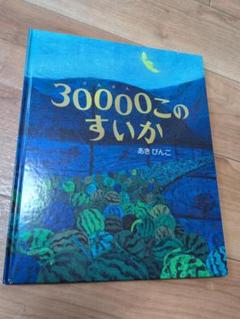 30000このすいか　あきびんご