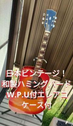 日本製ビンテージ! 和製ハミングバード Wピックアップ付 エレアコ 日本製ビンテージ! 和製ハミングバード Wピックアップ付