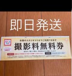 スタジオマリオ 撮影無料券