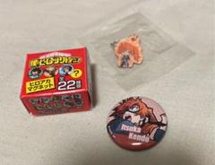 ヒロアカ 拳藤一佳 セットのサムネイル