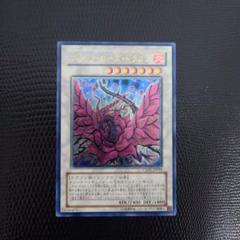 遊戯王 ブラックローズドラゴン レリーフ 旧レリーフ