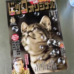 ビッグコミックオリジナルNo.15
