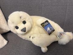 タグ付き＜ナショナルジオグラフィックぬいぐるみ 20体セット動物 楽天市場】【3個で5000円】【770701f】 NATIONAL GEOGRAPHIC