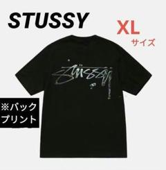 ☆23SS 最新作☆STUSSY BLOCK SPORT ZIP HOODIE (STUSSY