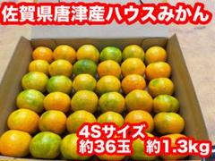 みかん 出品 楽天市場】□エントリーでポイント5倍□ 小原紅みかん大福 12個